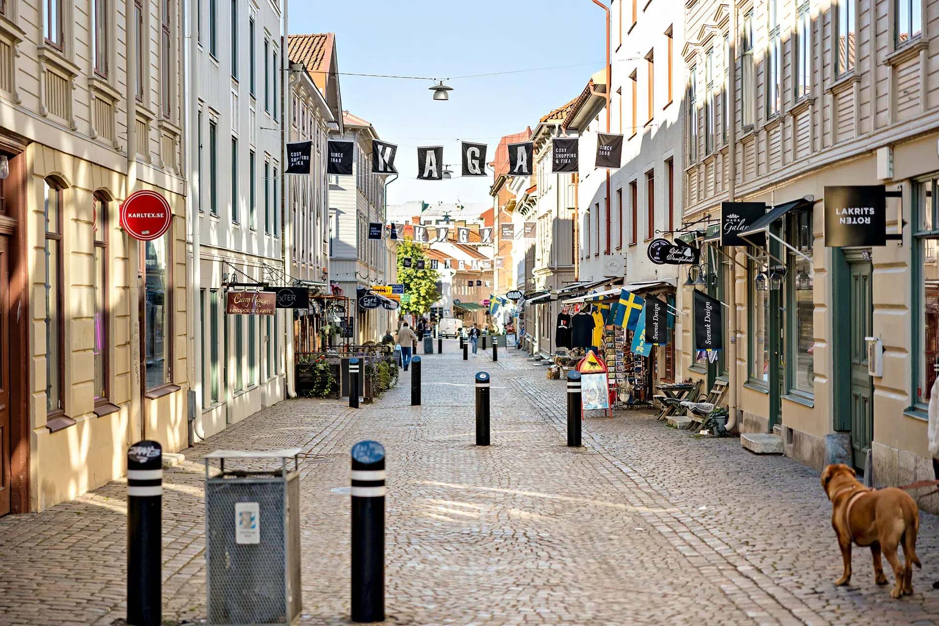 13450356_18-328-16_photo_web